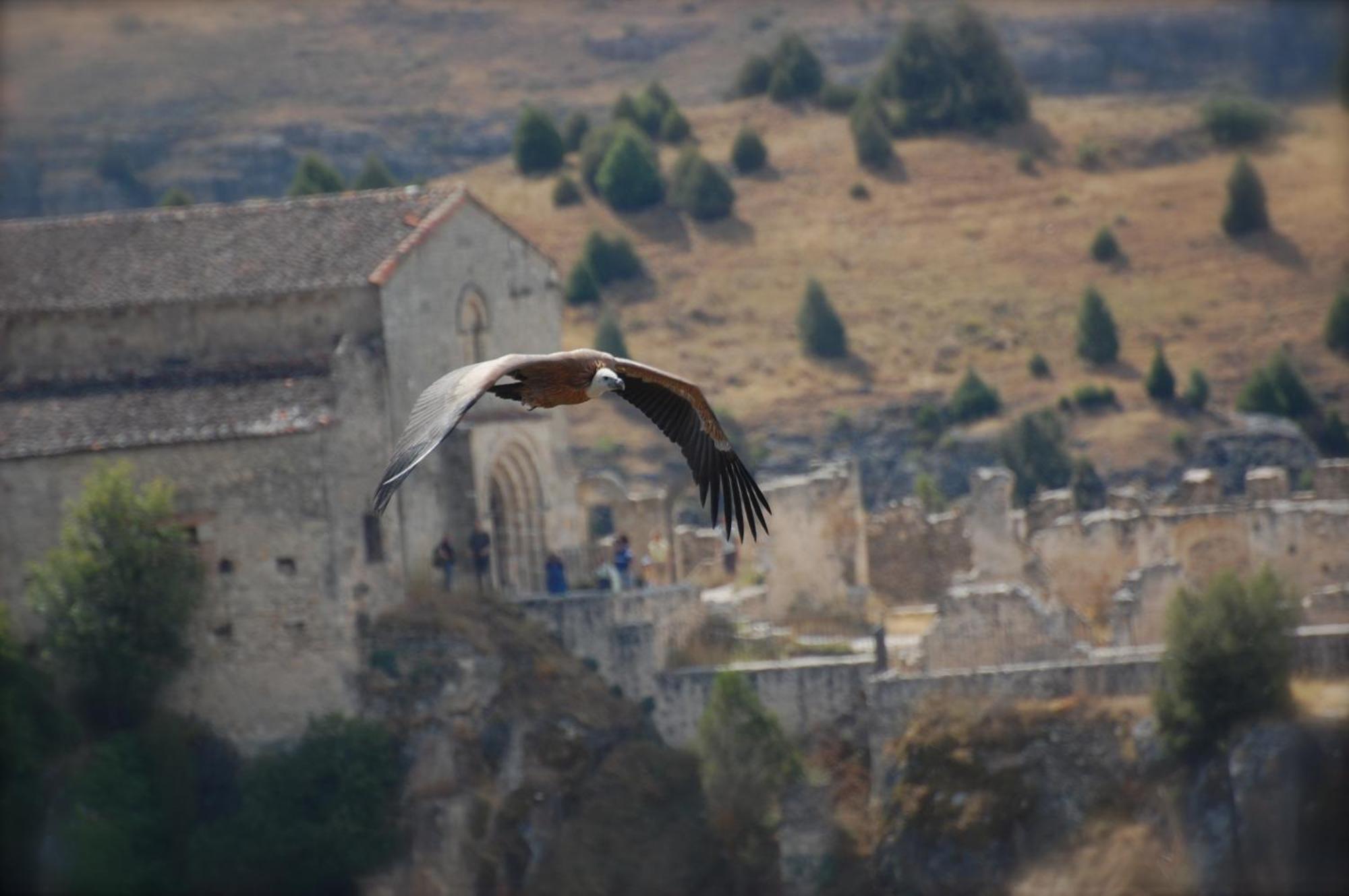 El Rincon De Las Hoces Del Duraton Burgomillodo Екстериор снимка